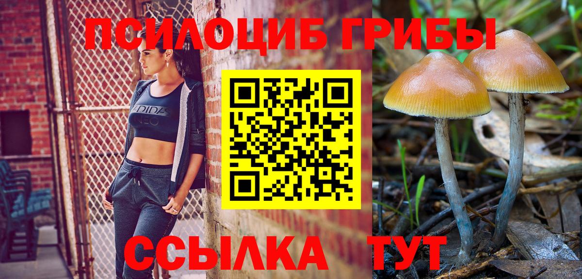 Псилоцибиновые грибы MAGIC MUSHROOMS Камышин
